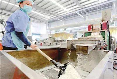 愿天下無(wú)廢 讓西青更美 ──記萬(wàn)綠達(dá)(天津)再生資源利用